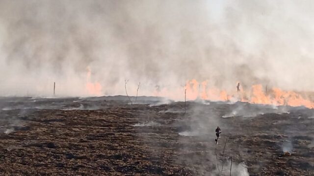 Incêndio atinge mais de tres fazendas e consome mais de 100 hectares