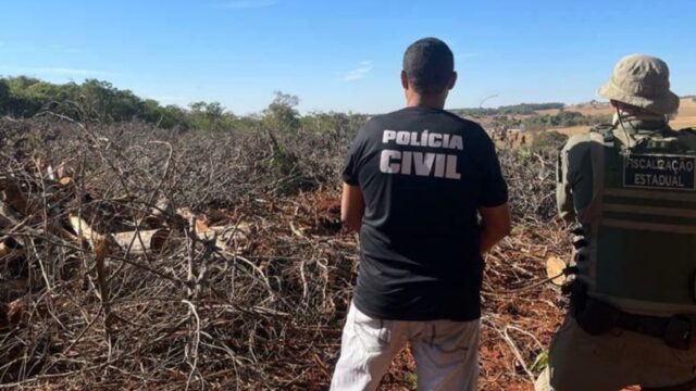 Operação apura crimes contra o meio ambiente em Orizona e falsificação de licenças