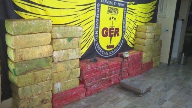 PM apreende mais de uma tonelada de maconha em Contagem: 'Prejuízo para o crime'