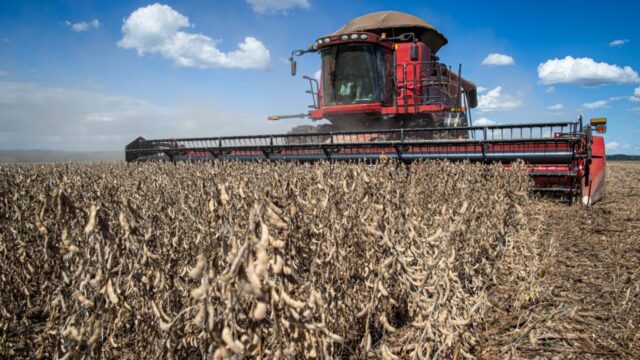 Goiás tem alta recorde no valor da produção agrícola em 2021