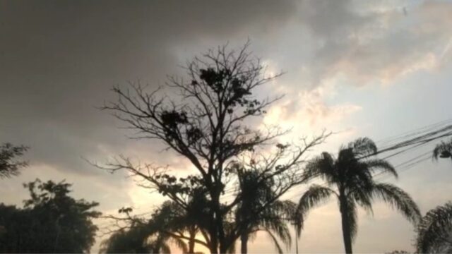 Goiás pode ter tempestade com rajadas de vento, raios e até granizo, diz Cimehgo
