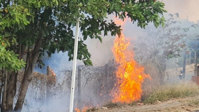 Incêndio de grandes proporções atinge mata do Setor Universitário, em Catalão