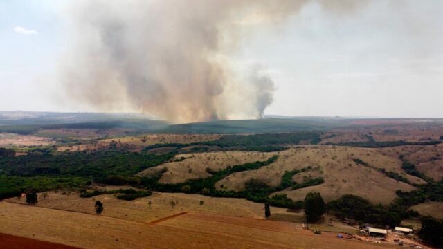 Incêndio de grandes proporções atinge vegetação nas proximidades do Chapadão das Mineradoras, em Catalão