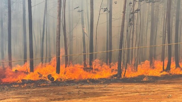Incêndio em vegetação já destruiu cerca de mil hectares próximo a Catalão