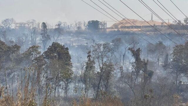 Vegetação queimada e animais mortos: Força-tarefa segue combatendo incêndio na Região das Mineradoras, em Catalão; veja