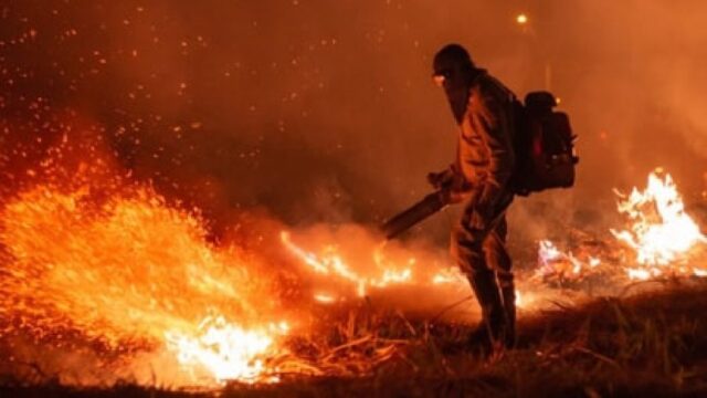 Oito cidades goianas afetadas por incêndios florestais entram em situação de emergência