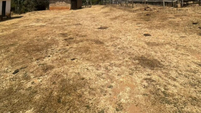 Idoso é encontrado morto com sinais de violência na zona rural de Ouvidor