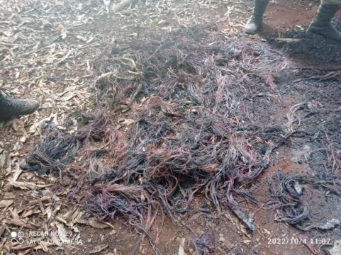 Polícia Militar prende autor de receptação de fios, em Patos de Minas