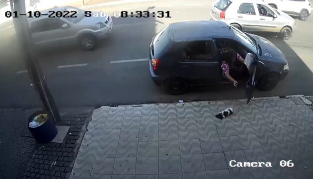 VÍDEO: câmera de segurança flagra abandono de filhote de cachorro, em Catalão