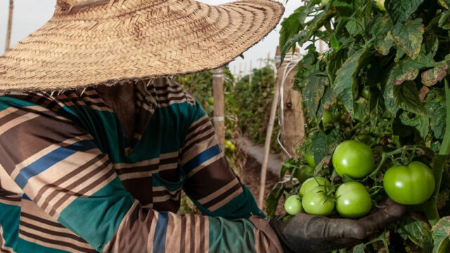 De janeiro a agosto, Goiás criou 12,2 mil postos formais de trabalho no campo