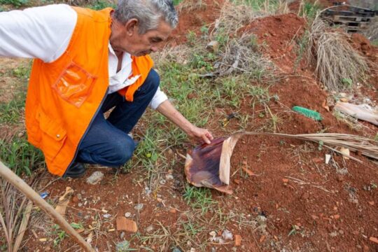 COMBATE À DENGUE: Prefeitura de Ouvidor inicia mais uma etapa do Manejo Ambiental
