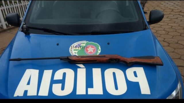 Ipameri: Polícia Militar no combate aos crimes de posse ilegal de arma de fogo e crime ambiental