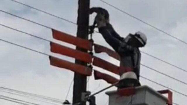 VÍDEO: gato é resgatado de poste de energia em Catalão