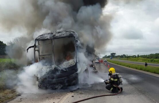 Ônibus pega fogo e fica destruído na BR-153, em Morrinhos