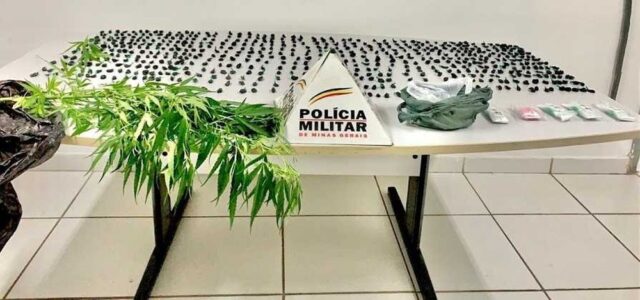 Pé de maconha e mais de 600 papelotes de cocaína são apreendidos em casa abandonada no Bairro Canaã, em Uberlândia