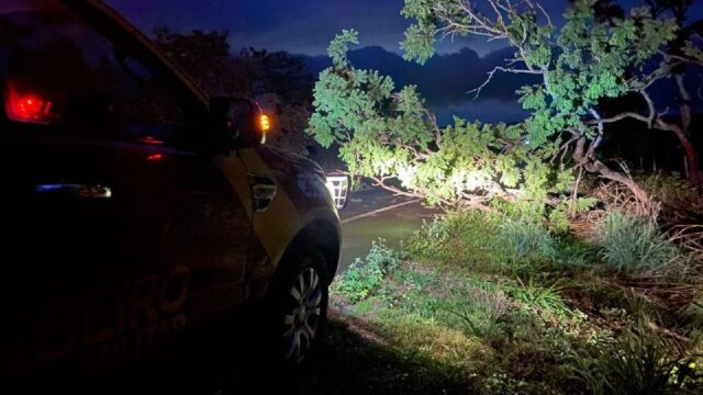 Chuva e ventos fortes derrubam árvores na GO-210, entre Catalão e Davinópolis