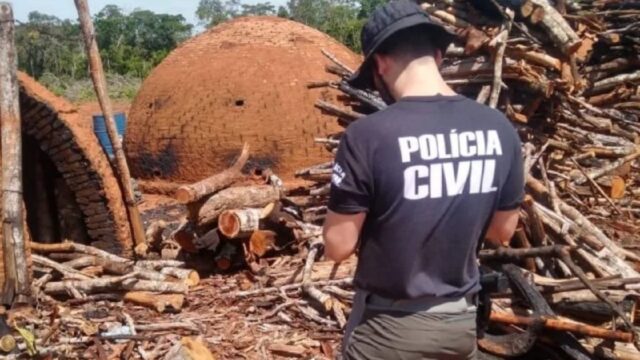 Homem é preso pela Polícia Civil em Orizona após Operação Falsa Simetria