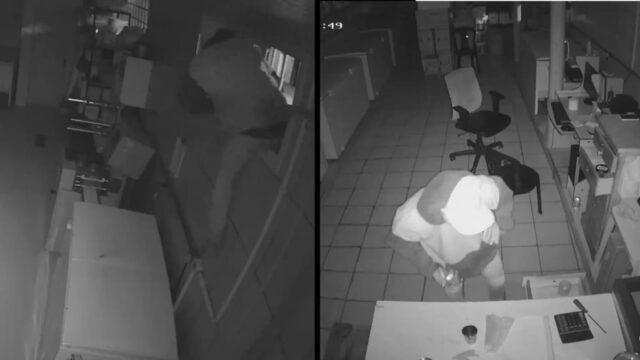 Catalão: câmeras flagram homem pulando janela e cometendo furtos em sorveteria; VÍDEO