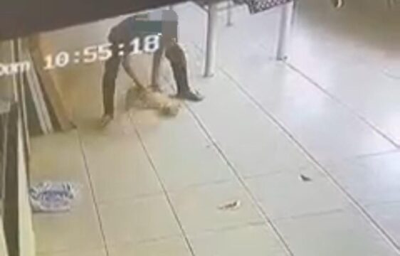 VÍDEO flagra homem agredindo e arremessando cachorro contra o chão, em Catalão; imagens fortes
