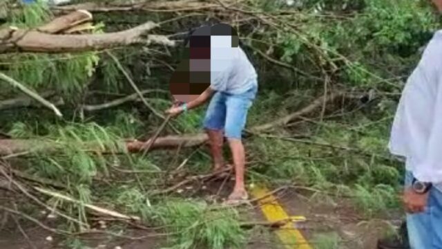 Vendaval derruba árvores na GO-330 em Ipameri, a pista ficou obstruída; VÍDEO
