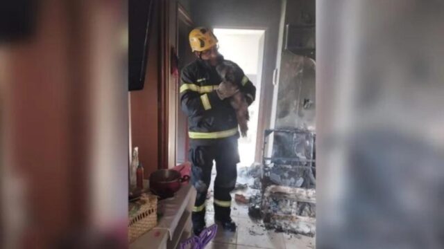 Incêndio atinge apartamento em Caldas Novas; fogo teria começado em carregador de celular na tomada