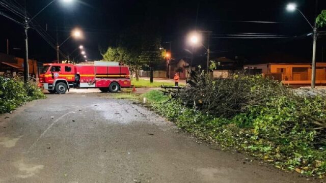 Em Araguari, chuva forte provoca queda de árvores em diversos pontos da cidade