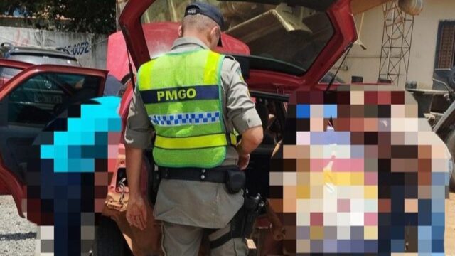 Operação conjunta entre PM e PRF, resulta na prisão de suspeito por tráfico de drogas