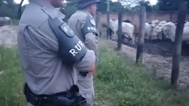 Batalhão Rural recupera em Novo Gama (GO) 64 cabeças de gado furtadas de fazenda no município de Cumari (GO)