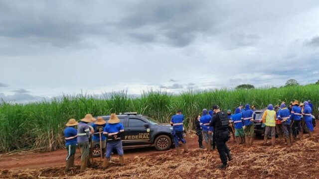 212 trabalhadores são resgatados com fome, dívidas e exaustão em Goiás