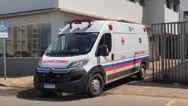 Tres pessoas são atacadas por enxame de abelhas na zona rural de Ouvidor