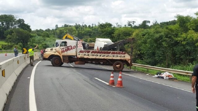 Trânsito lento: PRF realiza operação para remoção de bois mortos da BR-050, entre Araguari e Catalão