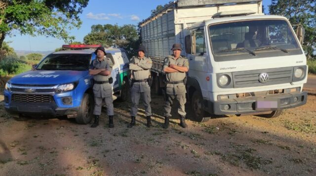 Em Coromandel/MG, Batalhão Rural recupera 10 bovinos furtados no município de Davinópolis