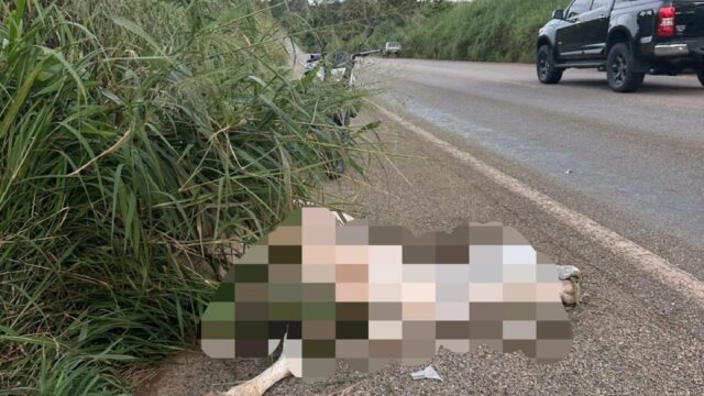 Bovino morre após ser atropelado por caminhão enquanto comia pastagem às margens da GO-210, em Catalão