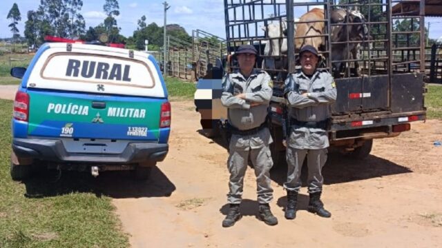 Operação Conjunta do Batalhão Rural e Agrodefesa recupera gado furtado durante abordagem na BR-050, em Catalão