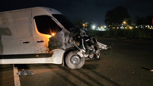 Tragédia na madrugada: bovinos morrem atropelados na BR-050 em Catalão