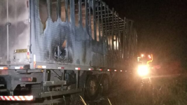 Carga de insumos farmacêuticos e paletes é consumida após caminhão incendiar na GO-330 em Ipameri
