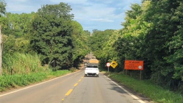 Câmara Municipal de Ouvidor cobra ação da GOINFRA para poda de árvores e limpeza das margens na GO-330