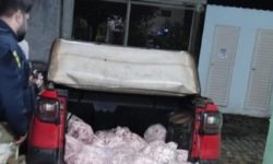 Veículo com cerca de 400 kg de retalhos de carnes sem refrigeração é apreendido pela PRF