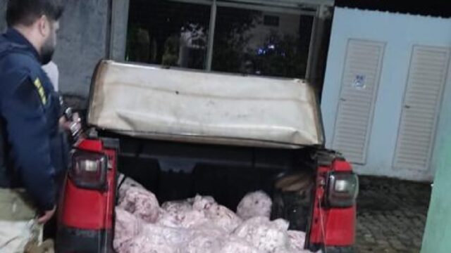 Veículo com cerca de 400 kg de retalhos de carnes sem refrigeração é apreendido pela PRF