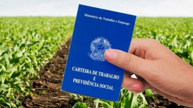 Goiás é o maior gerador de empregos no agronegócio do Centro-Oeste