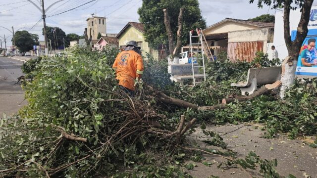 Equatorial Goiás esclarece motivo da intervenção nas árvores em Ouvidor em parceria com a prefeitura