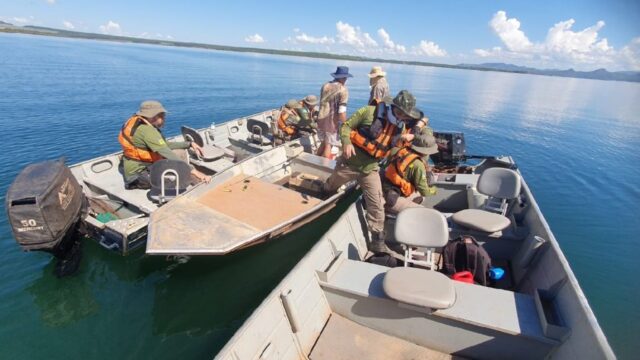 Fiscalização apreende pescado ilegal e aplica multas no lago Serra da Mesa