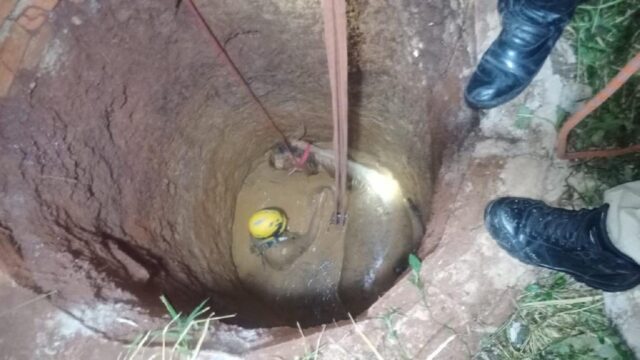 Bombeiros resgatam égua que caiu em poço de 4 metros na zona rural, em Catalão