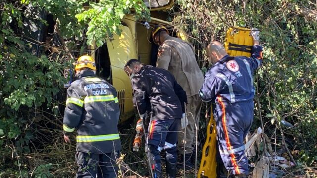 Caminhão sai da pista, bate em árvores e deixa motorista ferido na GO-309, em Caldas Novas