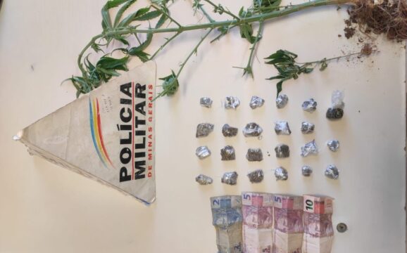 Suspeito é preso por cultivo de maconha e tráfico de drogas, em Araguari