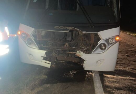 Cavalo morre após colisão com micro-ônibus na GO-330, entre Ouvidor e Catalão