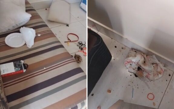 Em Caldas Novas, Dona de apartamento que foi entregue com fralda suja no chão diz que nunca viveu situação parecida: 'Horrorizada'