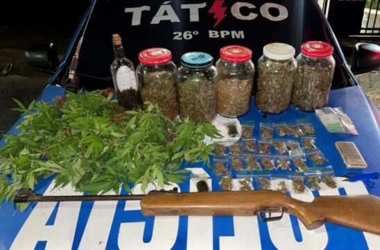 Quarenta e cinco pés de maconha foram apreendidos pela polícia em Caldas Novas