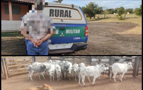 Em Bela Vista de Goiás, Batalhão Rural desarticula associação criminosa especializada em furto de gado