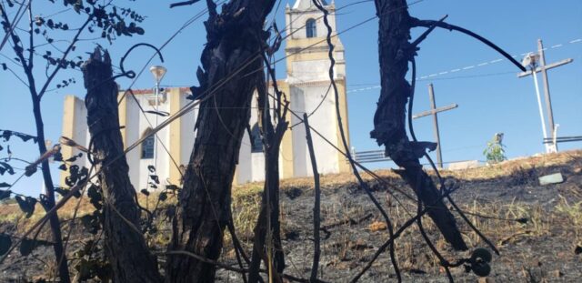 Bombeiros combatem incêndio de grande proporção no Morrinho de São João, em Catalão